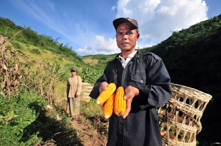 A man shows his maize crop in Laos