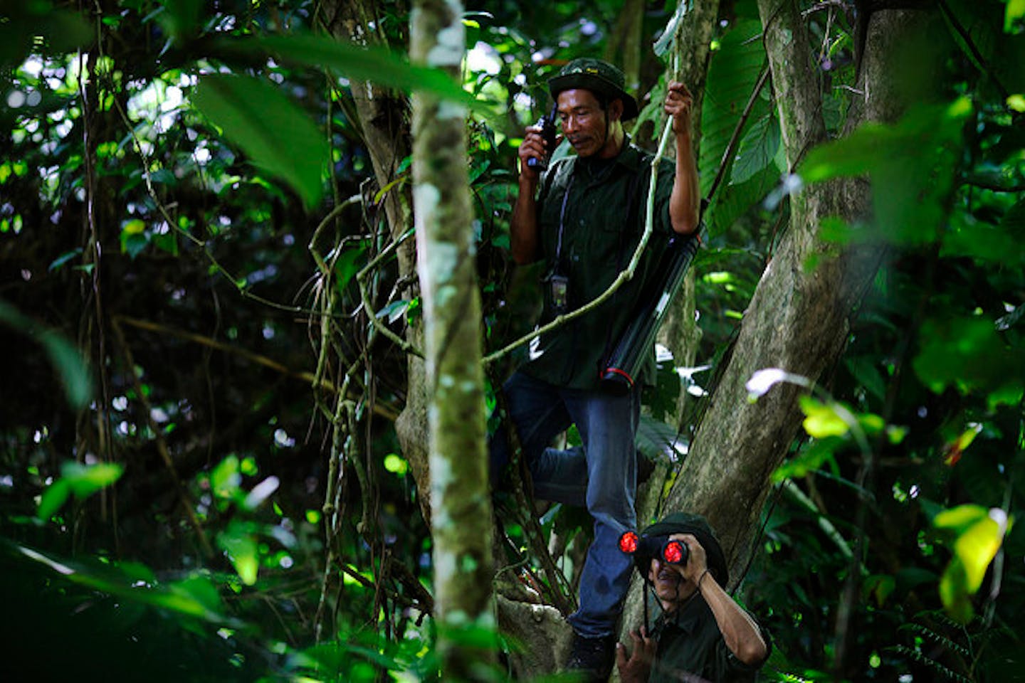 rangers patrol forests in Aceh Indonesia