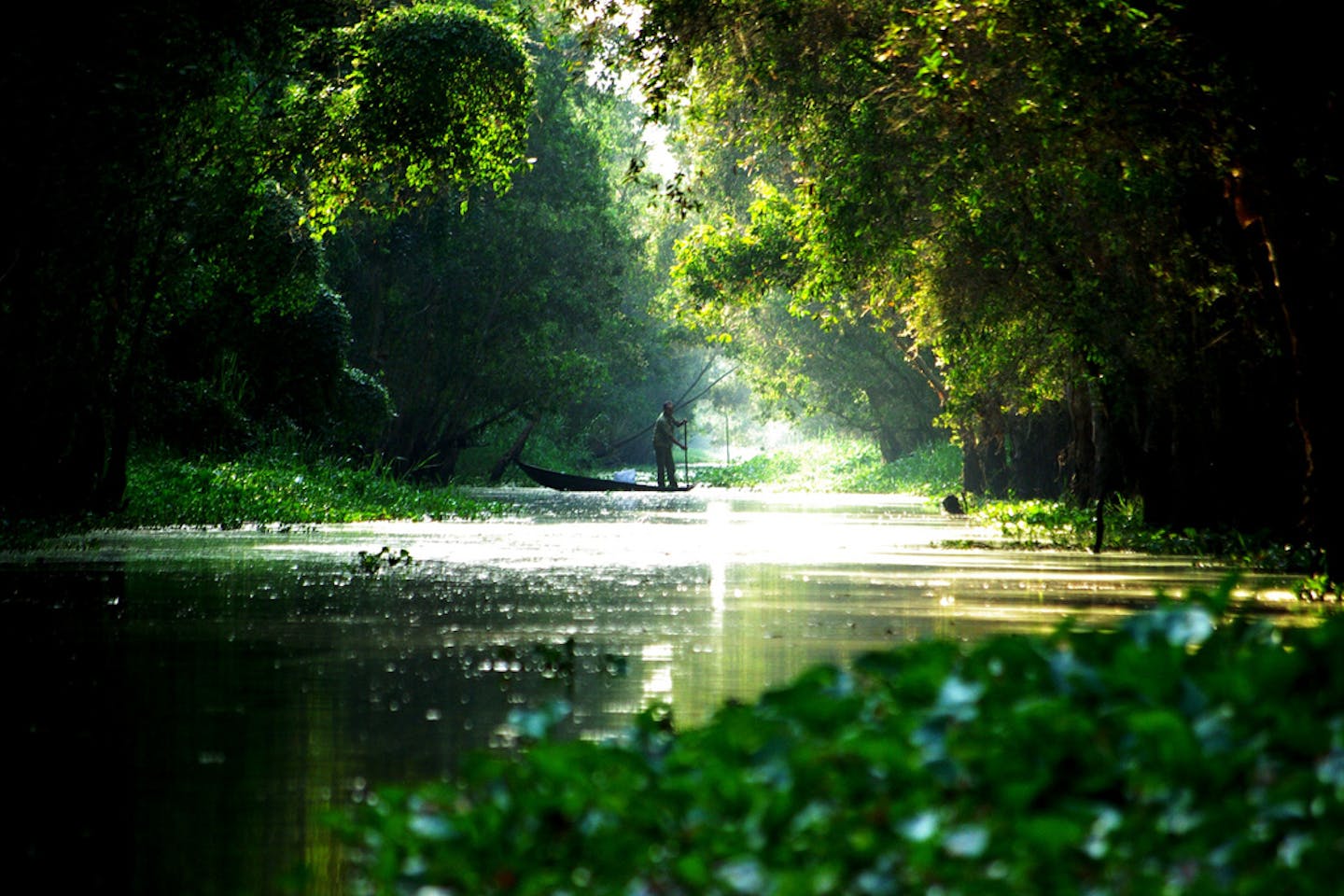 Mekong Delta