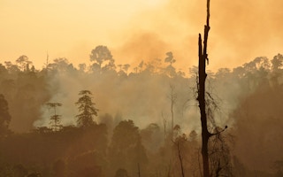 forest fire indonesia2