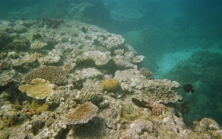 great barrier reef2