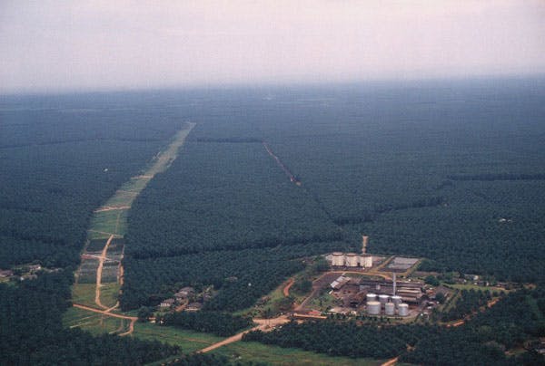Malaysian palm oil plantation and mill