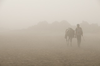A wanderer and his horse