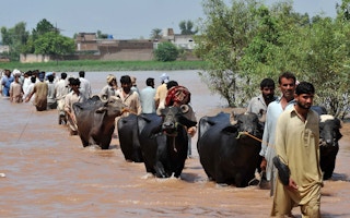 pakistani floods
