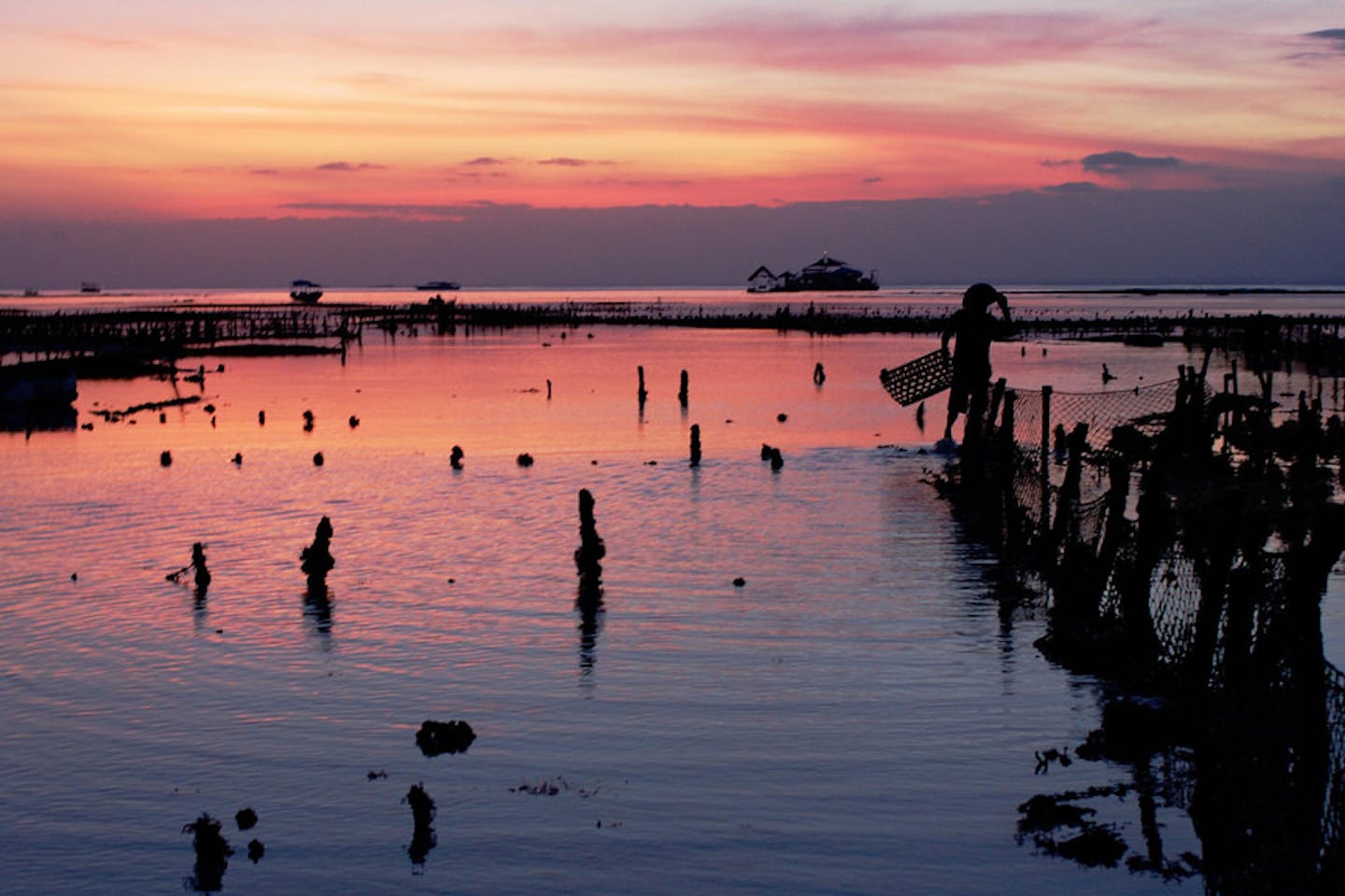fish farming indonesia