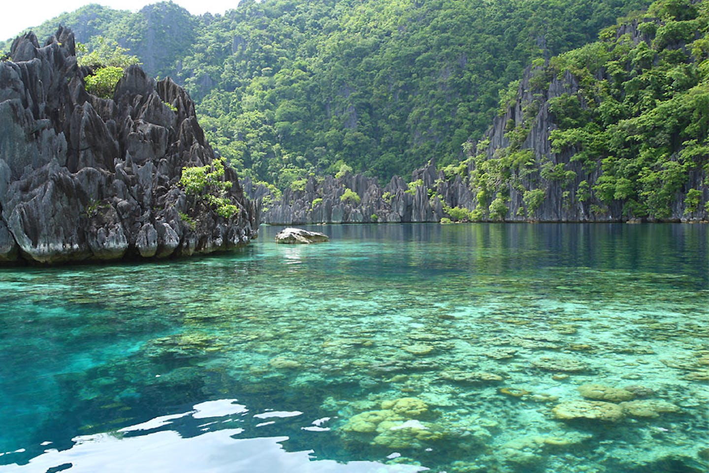 Palawan’s UN status as eco reserve in peril | News | Eco-Business ...