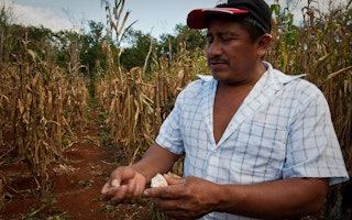 Saulo Chuc Moo, a community leader from Tabi, a Mayan community