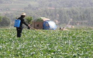 farmer sprays pesticide