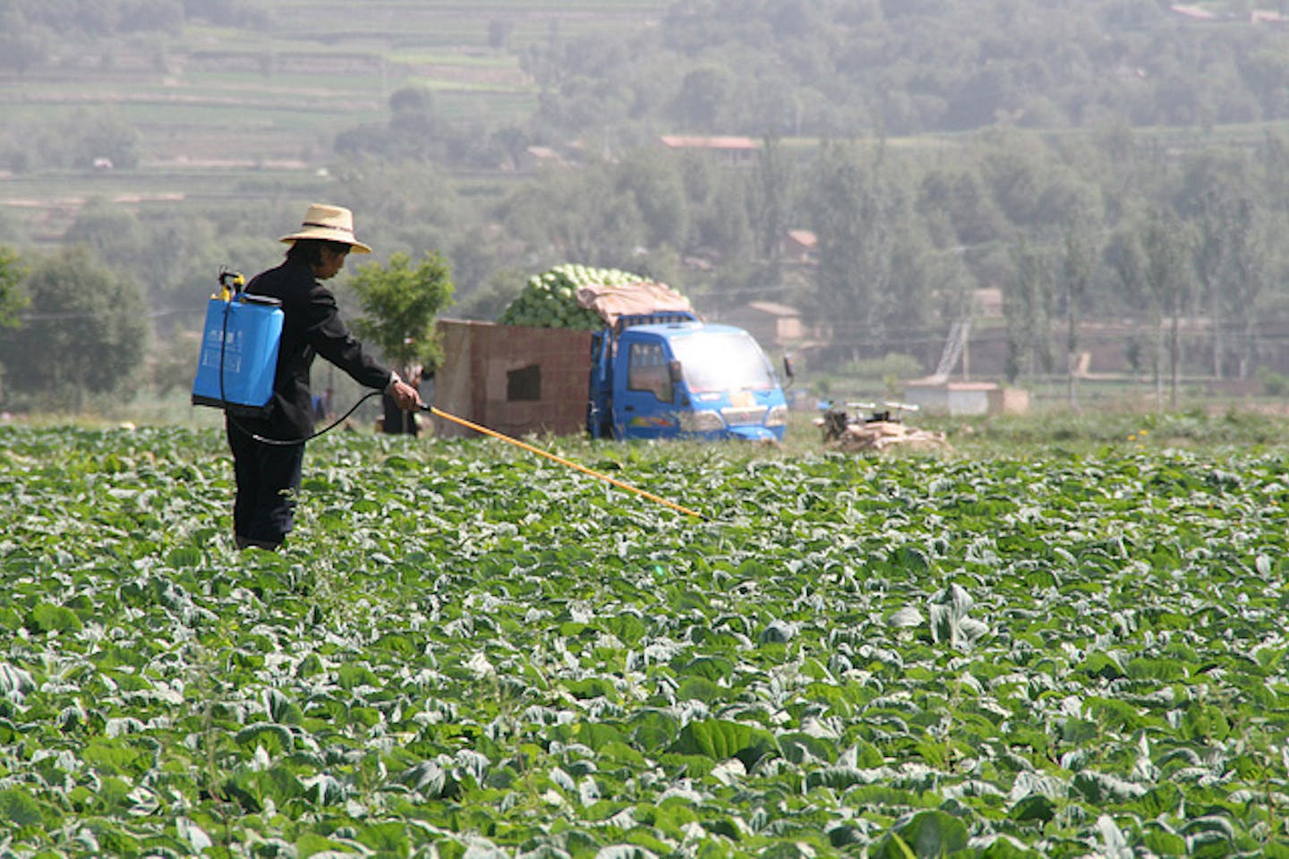 Food Supply Fears Spark China Land Grab News Eco Business Asia Pacific