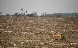 deforestation palm oil1