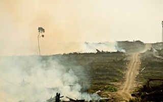 west kalimantan indonesia palm oil cargill