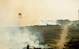Borneo open burning