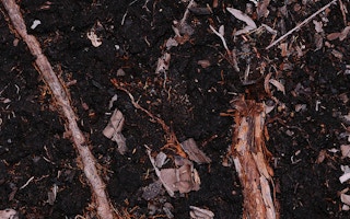 Peat soil