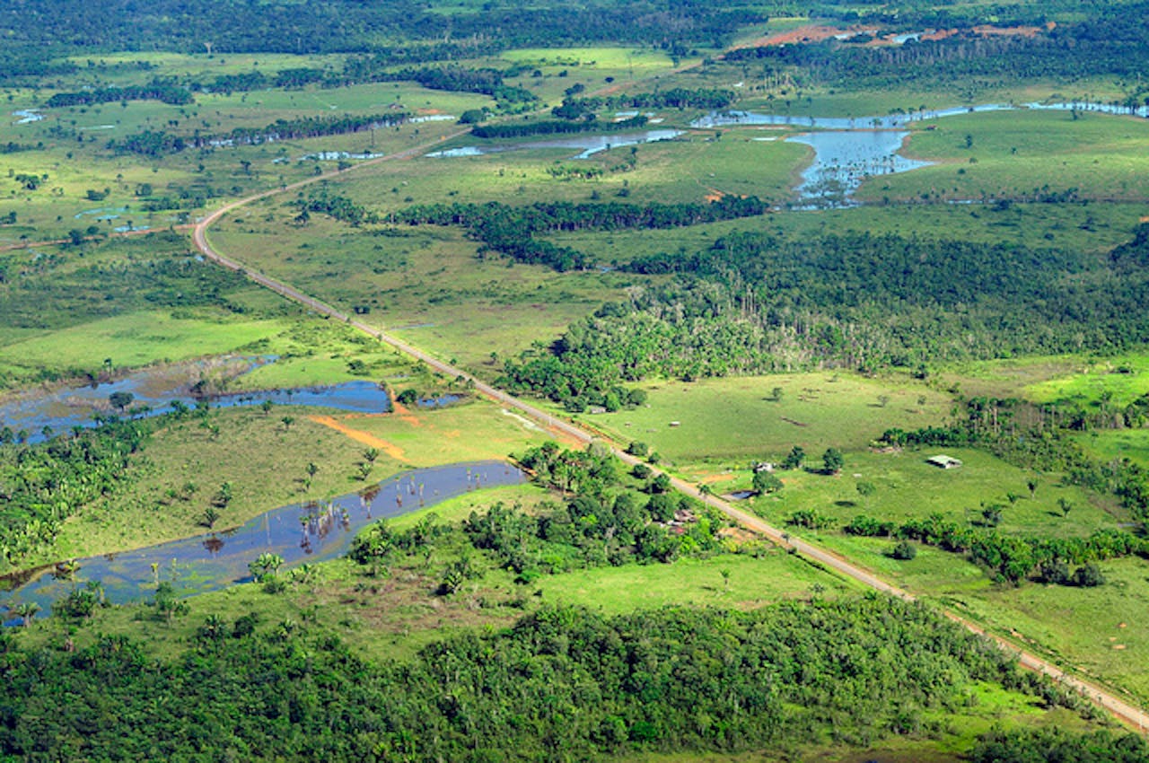 amazon manaus