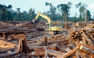 indonesia rainforest clearing