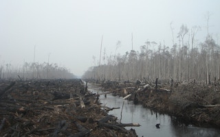 deforestation indc indonesia
