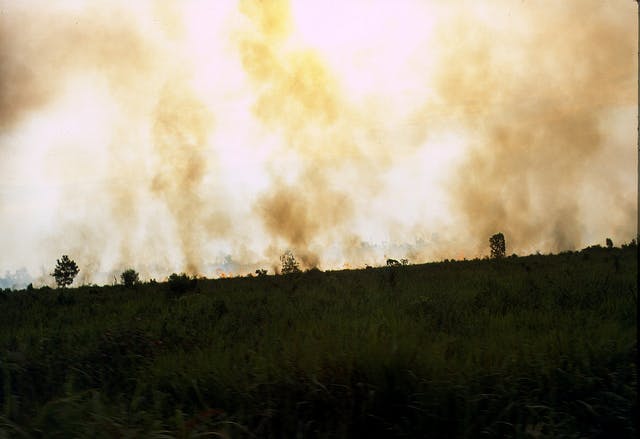 forest fires in indonesian peatlands