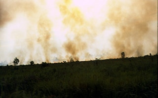 forest fires in indonesian peatlands