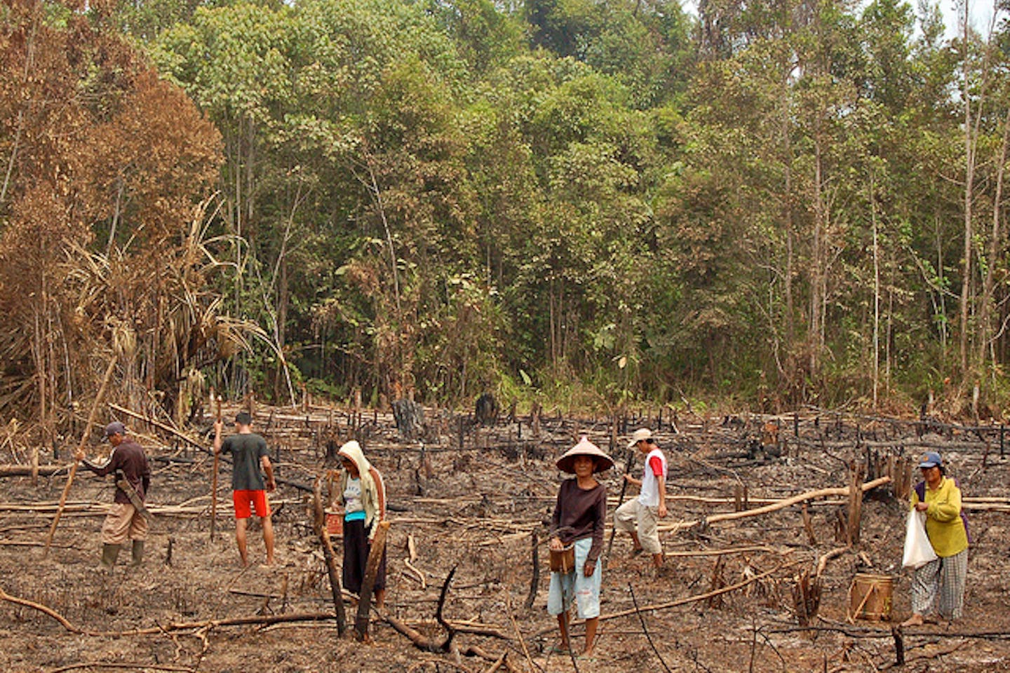 smallholder farmers Indonesia