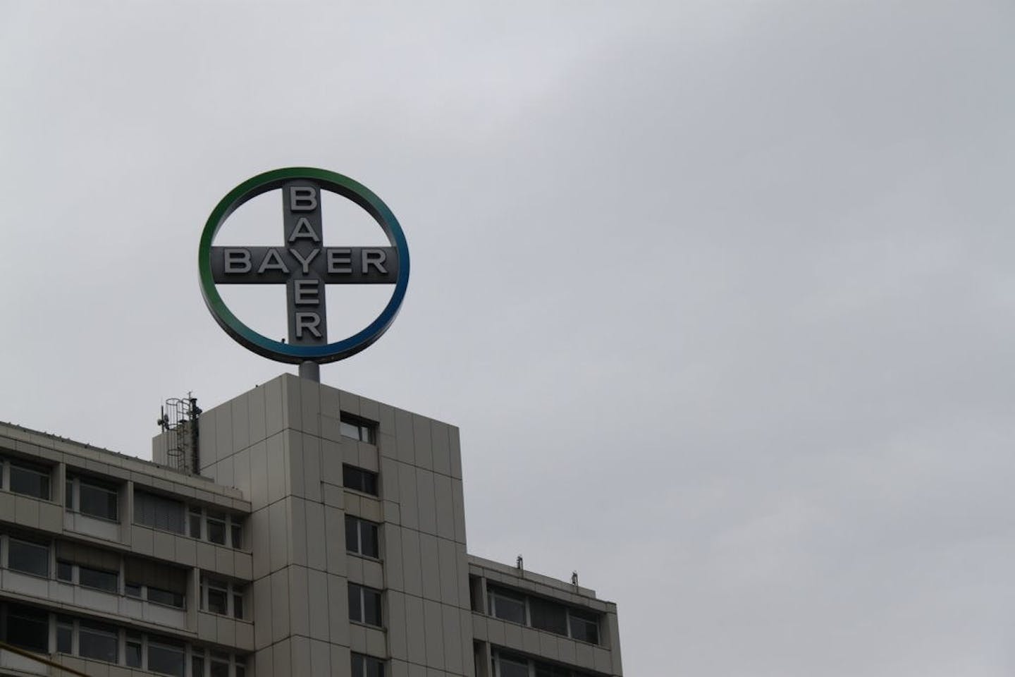 bayer berlin