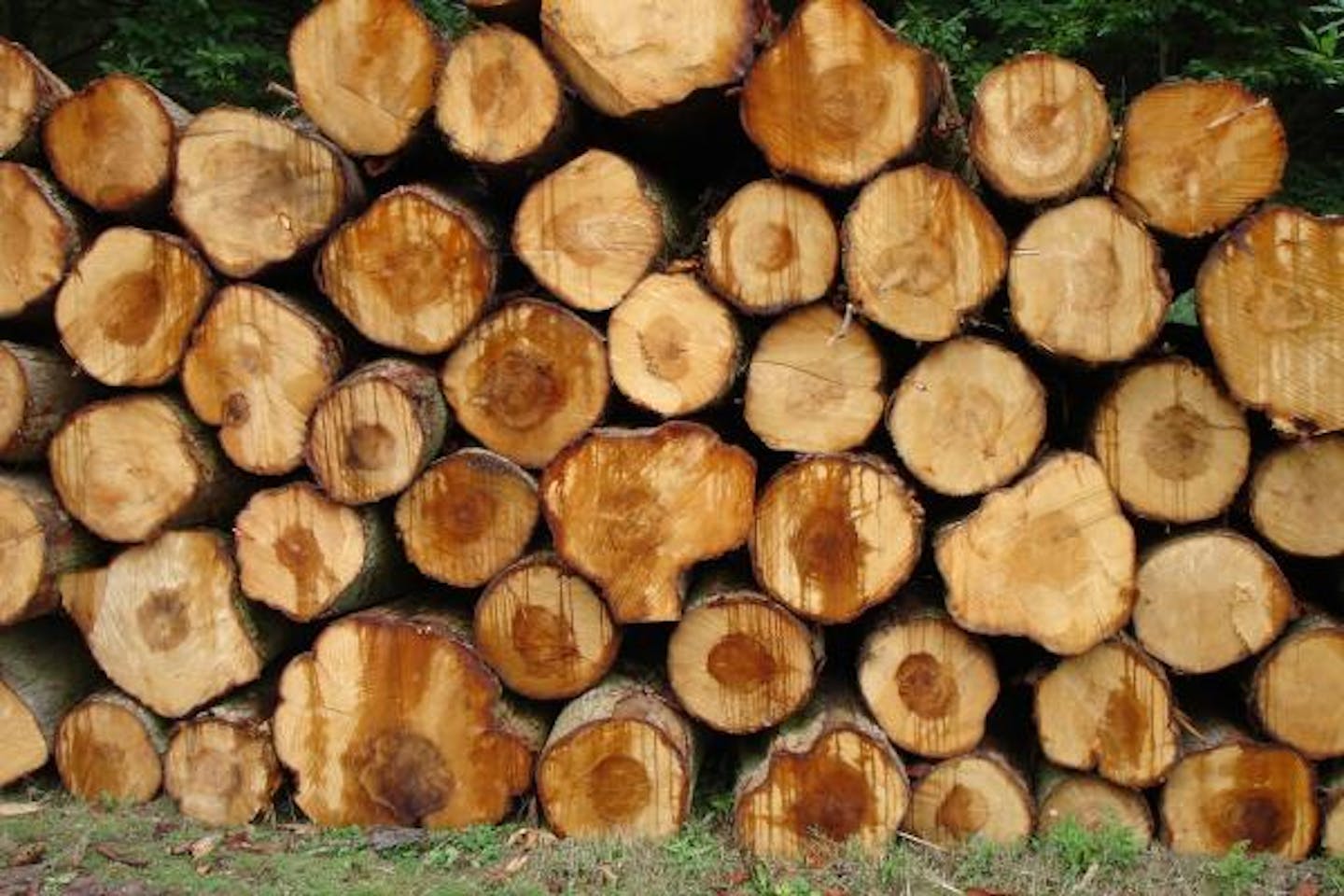 Wood fuel