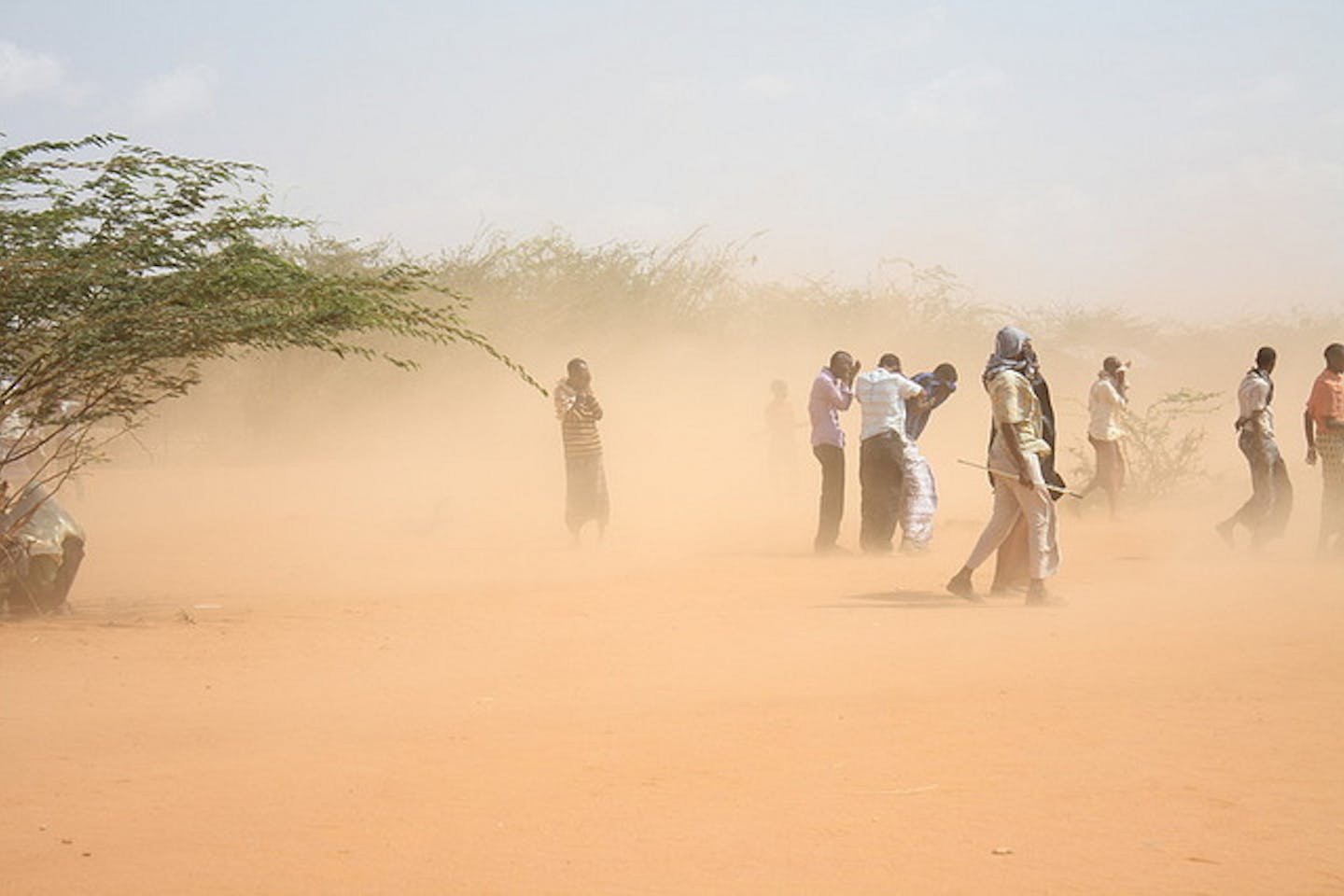 dust storm
