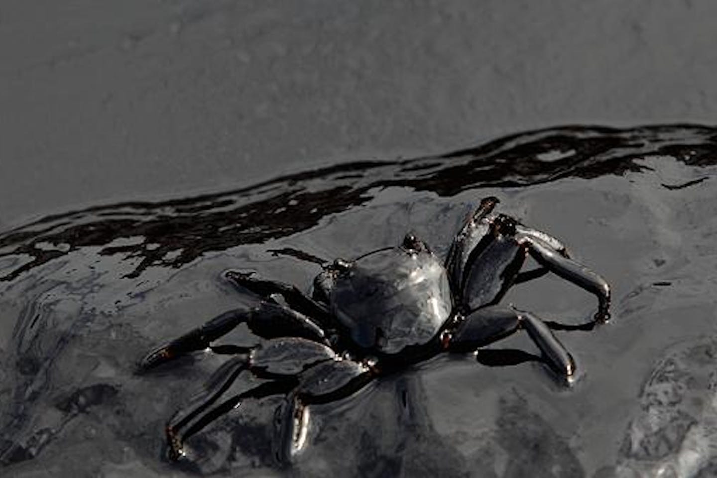 thai oil spill