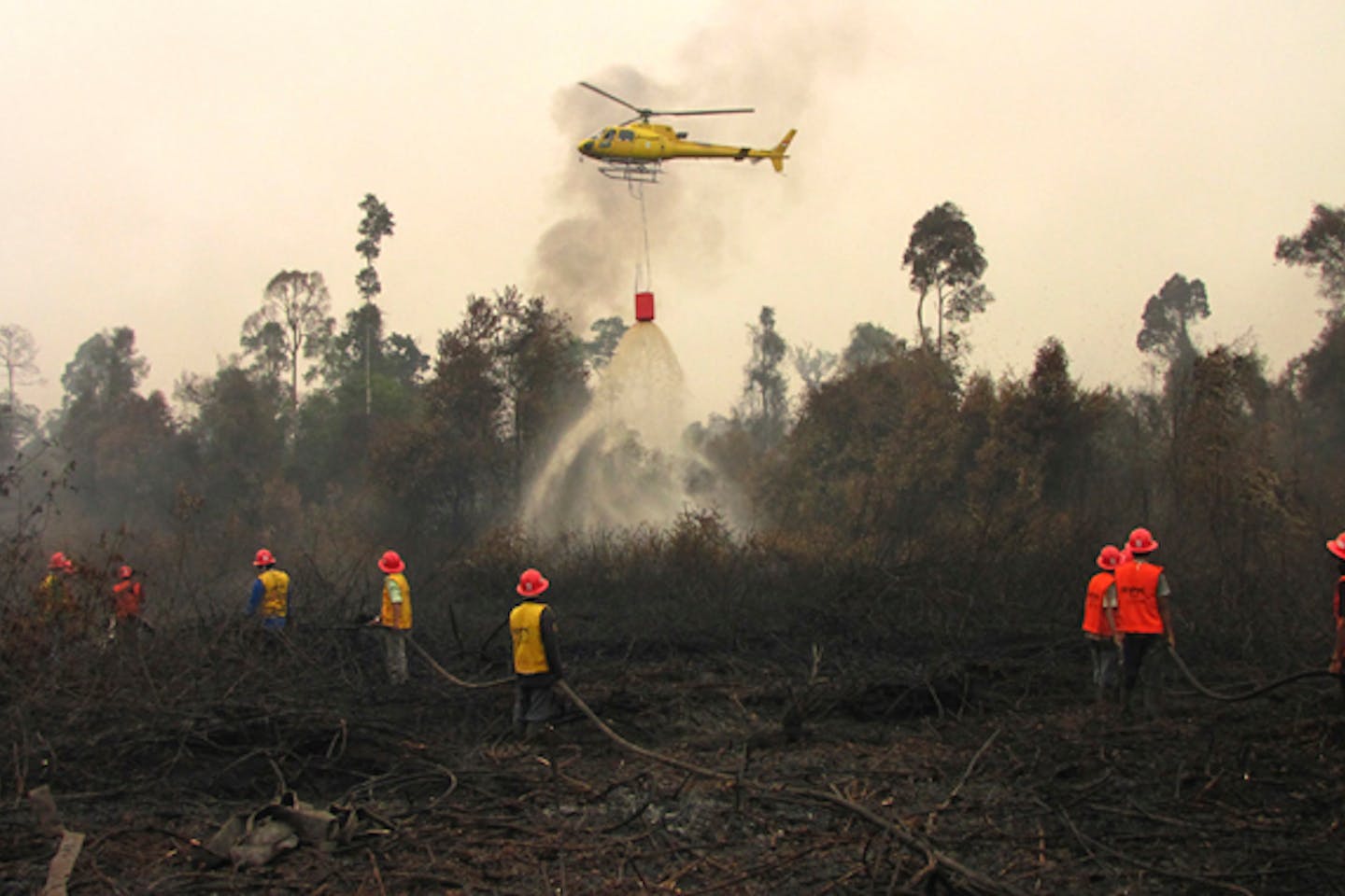 Forest fires in Riau 2014