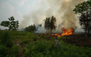 A forest fire in Kalimantan