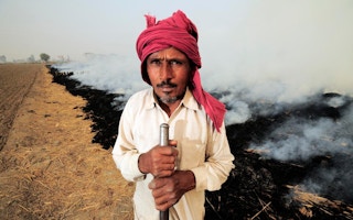 indian farmer climate suicide