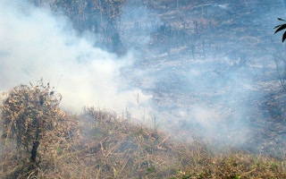 forest fires in Palangkaraya Indonesia