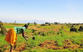 woman farmer in uganda