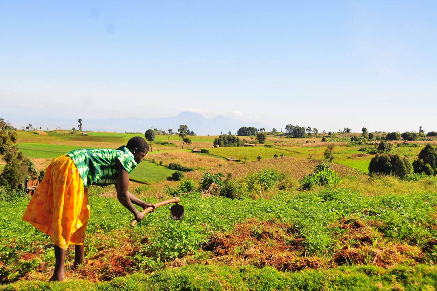 woman farmer in uganda