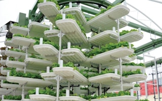 vertical farming ppus