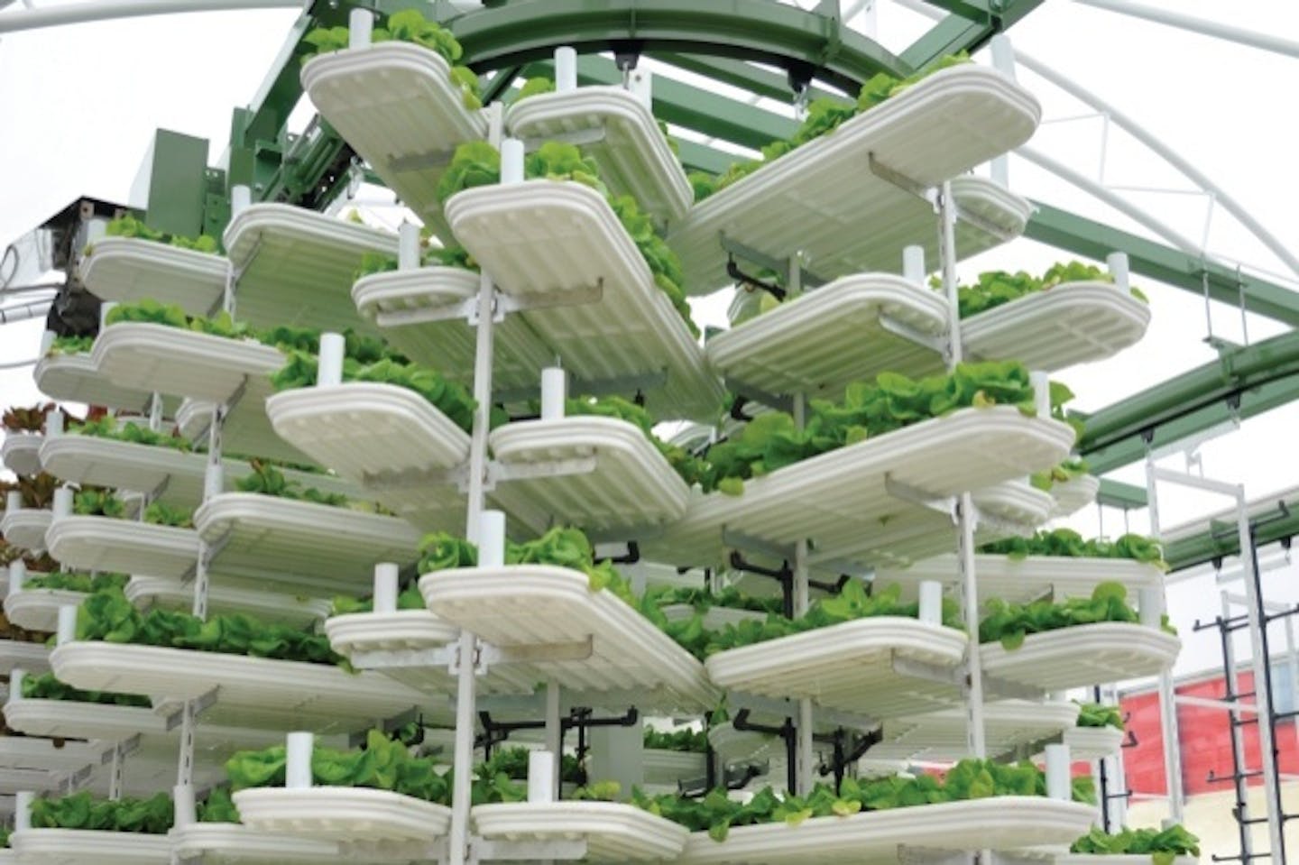 Could vertical farms feed the world? | Opinion | Eco-Business | Asia ...