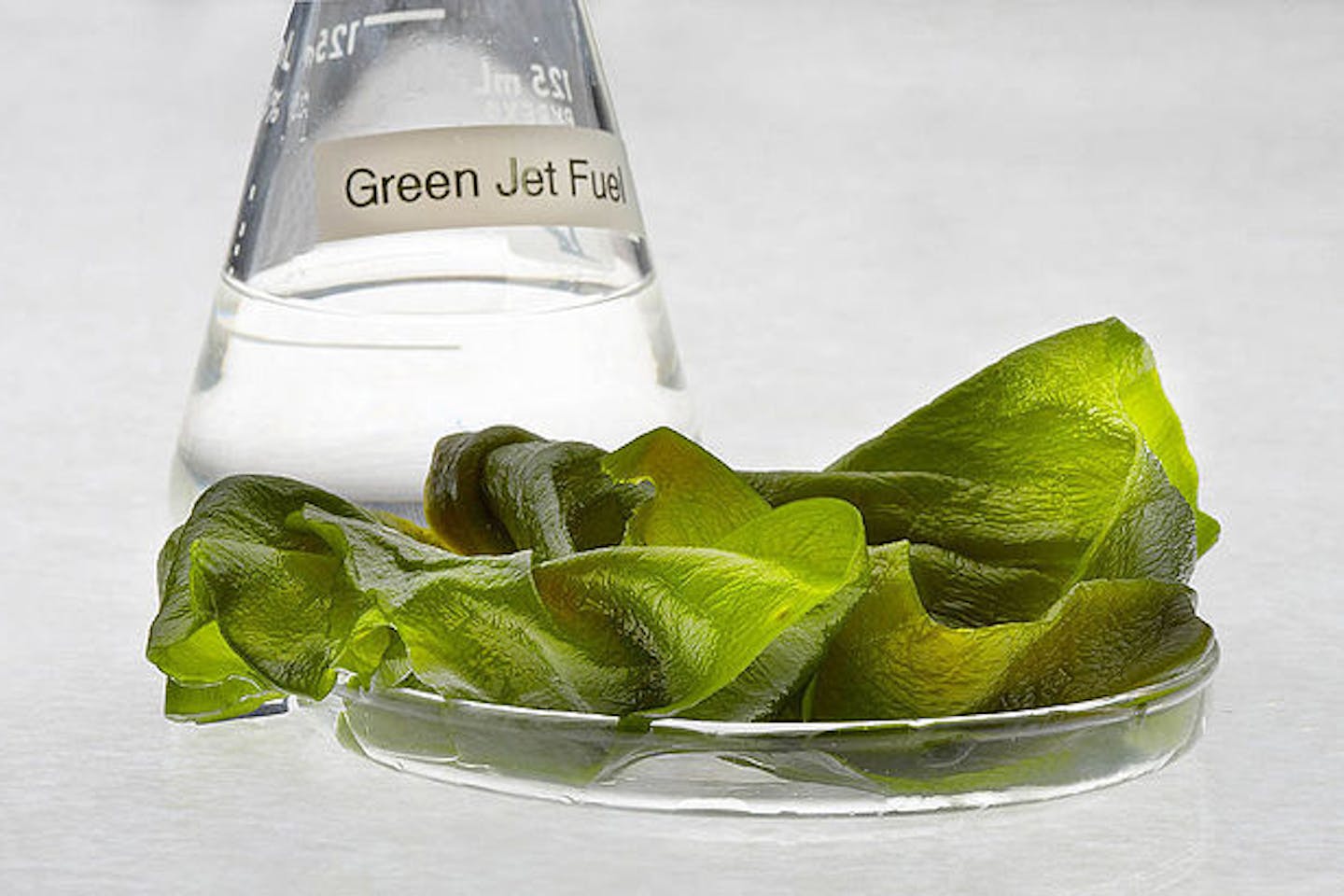 Jet fuel produced from algae