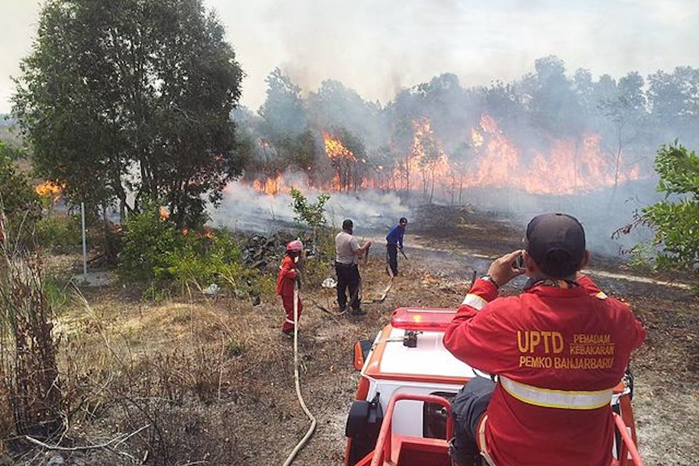Indonesian forest fighters