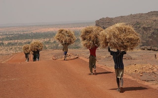 Men carrying straw in Mali
