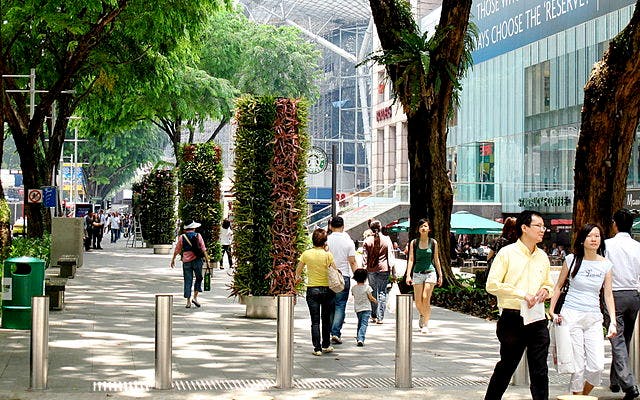 Orchard Road flower zone