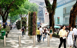 Orchard Road flower zone