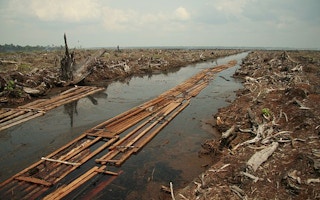 Riau deforestation 