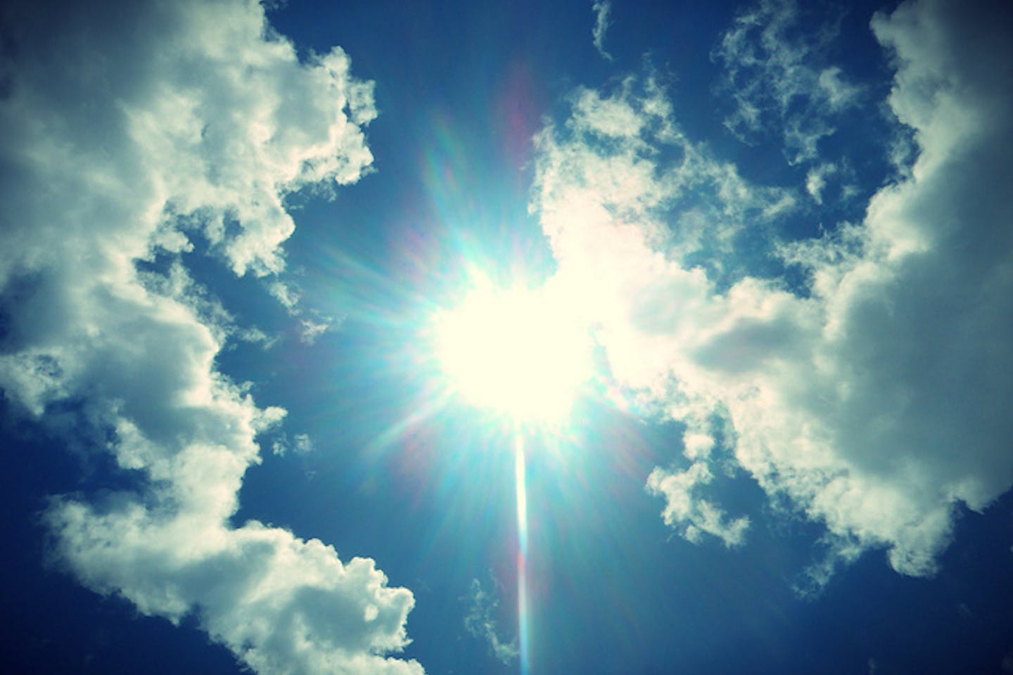sunlight