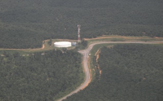 palm oil plantation aerial jt