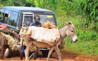 young Ugandan farmer