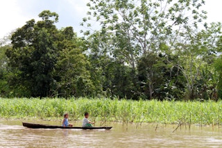 Children in a boat in the Colombian Amazon. 