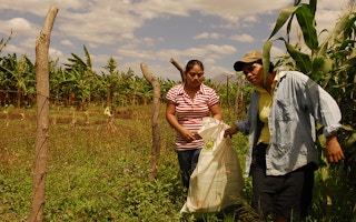 corn famers of nicaragua