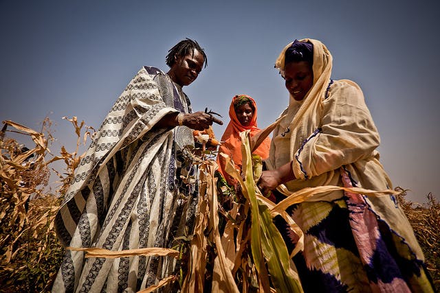 Food crisis in Sahel