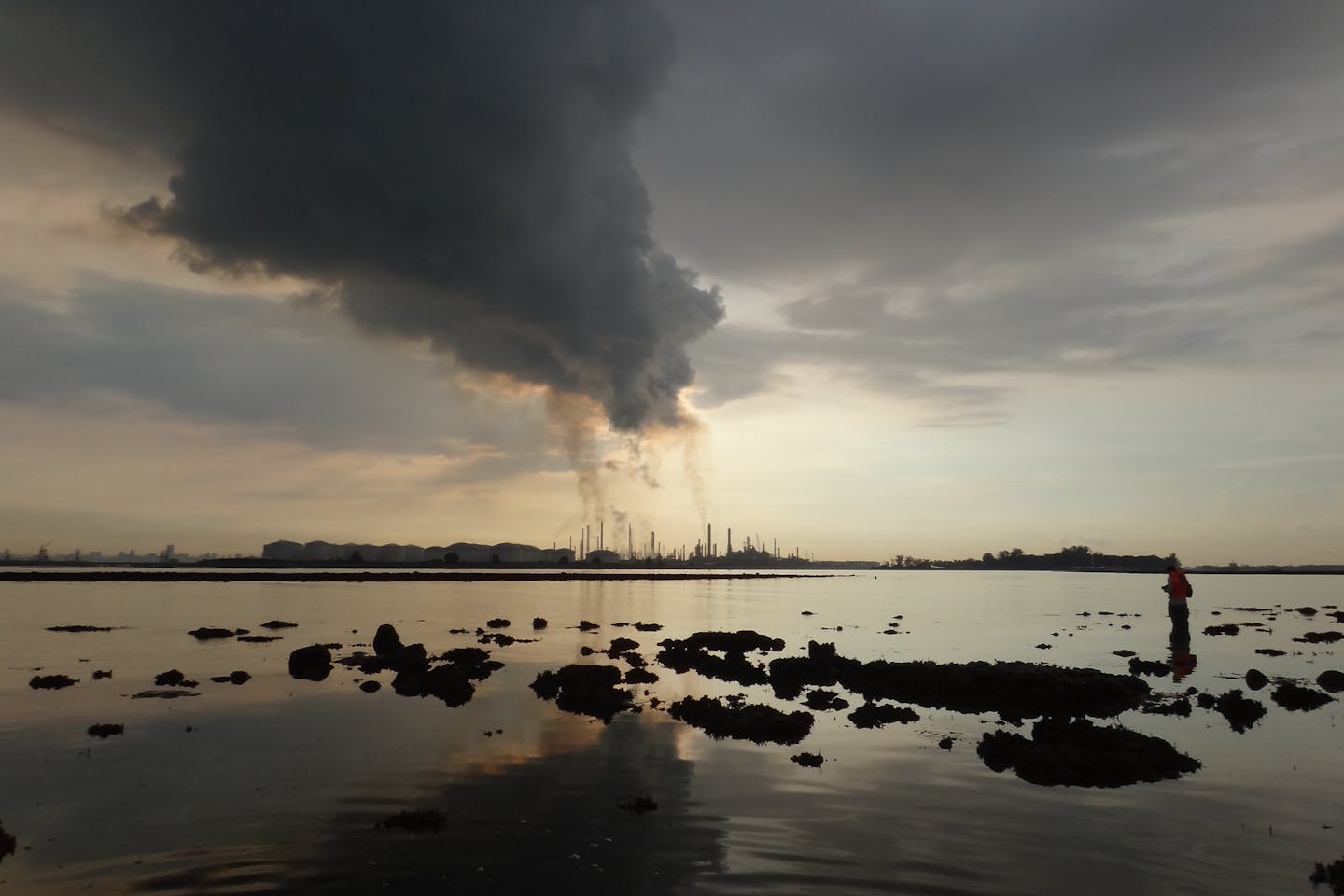carbon emissions sg