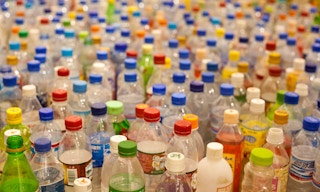 a sea of plastic bottles lined up