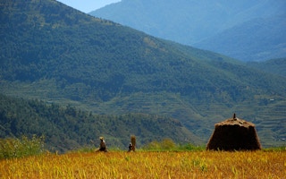 bhutan farmers